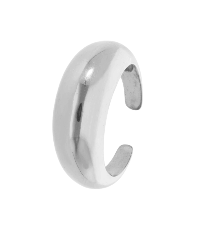 Ring Doughnut