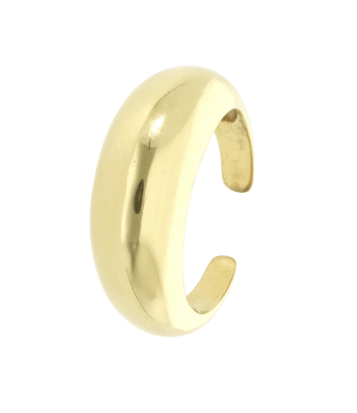 Ring Doughnut